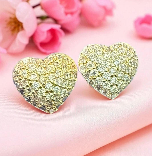 Anti Tarnish Earrings