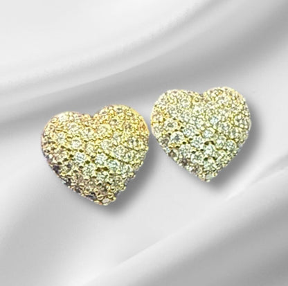 Anti Tarnish Earrings