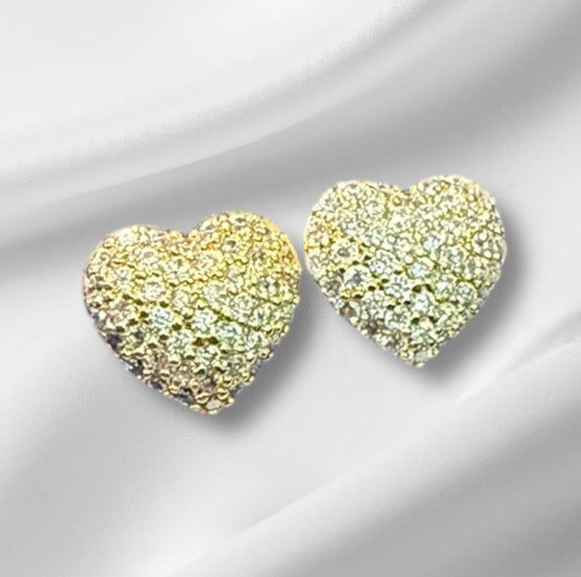 Anti Tarnish Earrings